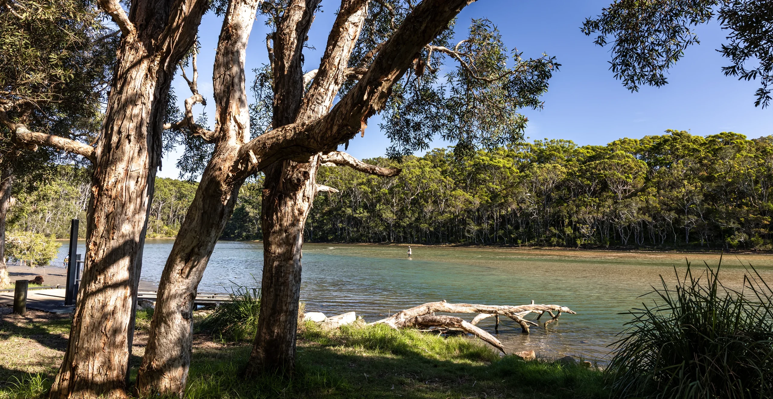 Woolgoolga Creek