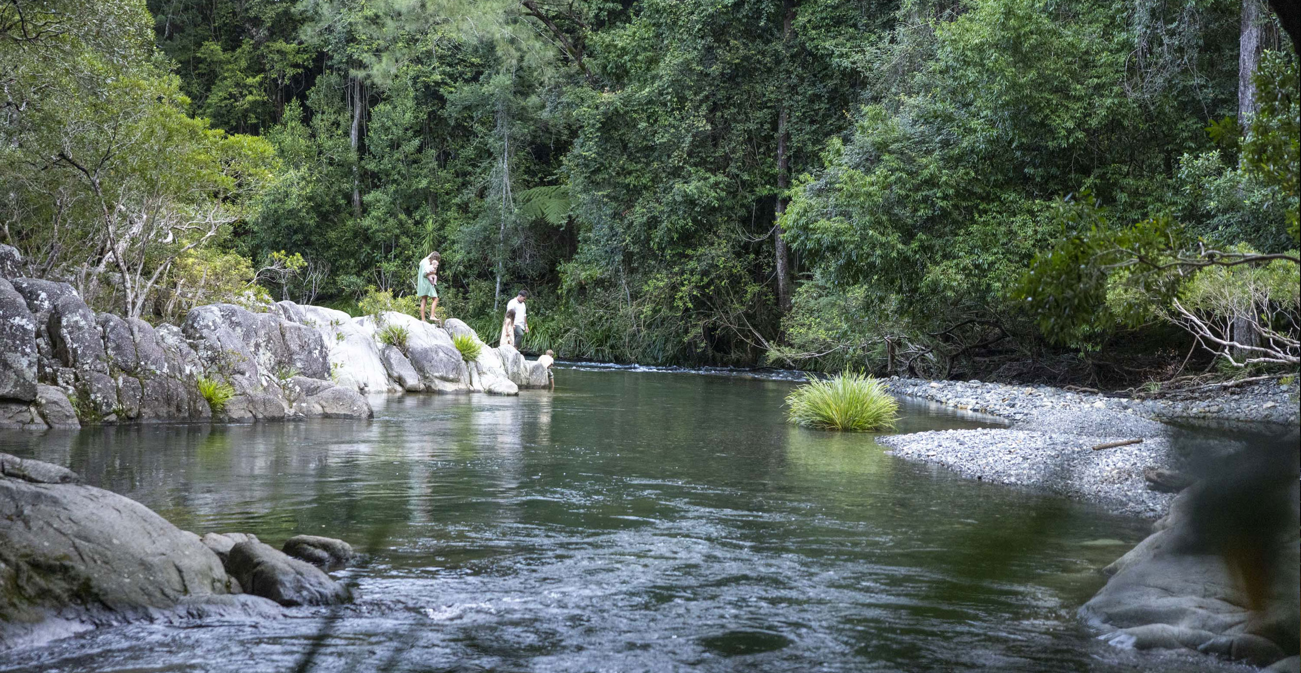 Coffs Bushwalk and Creek