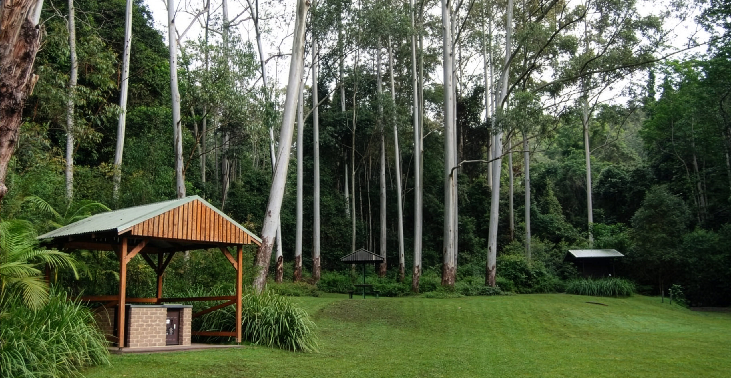 Woolgoolga Creek Reserve