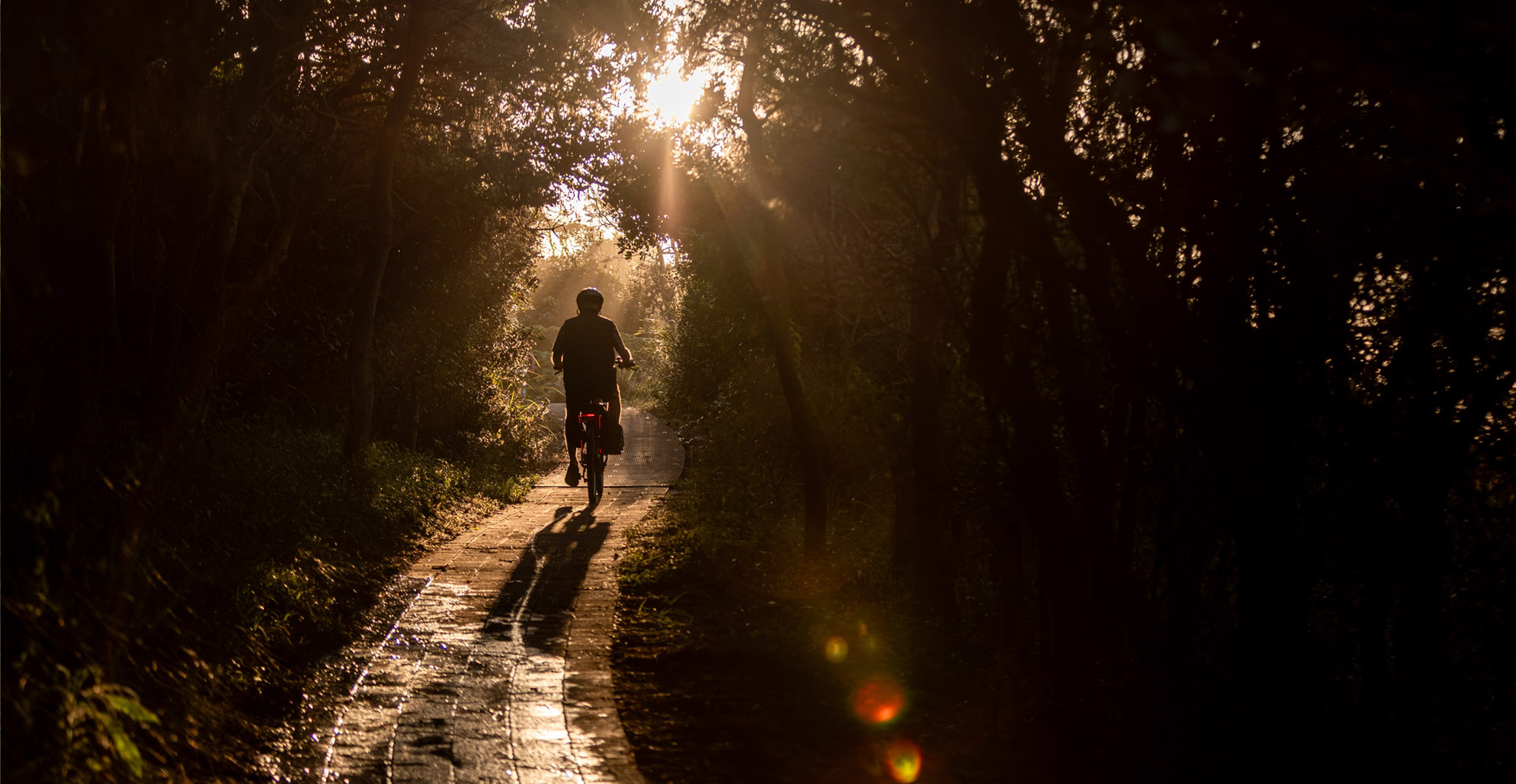 Bike Paths in Woolgoolga