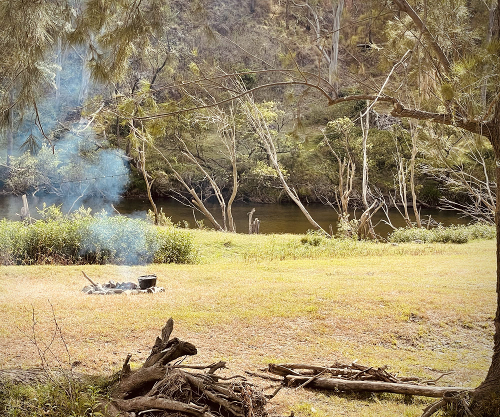 Camping coffs coast region