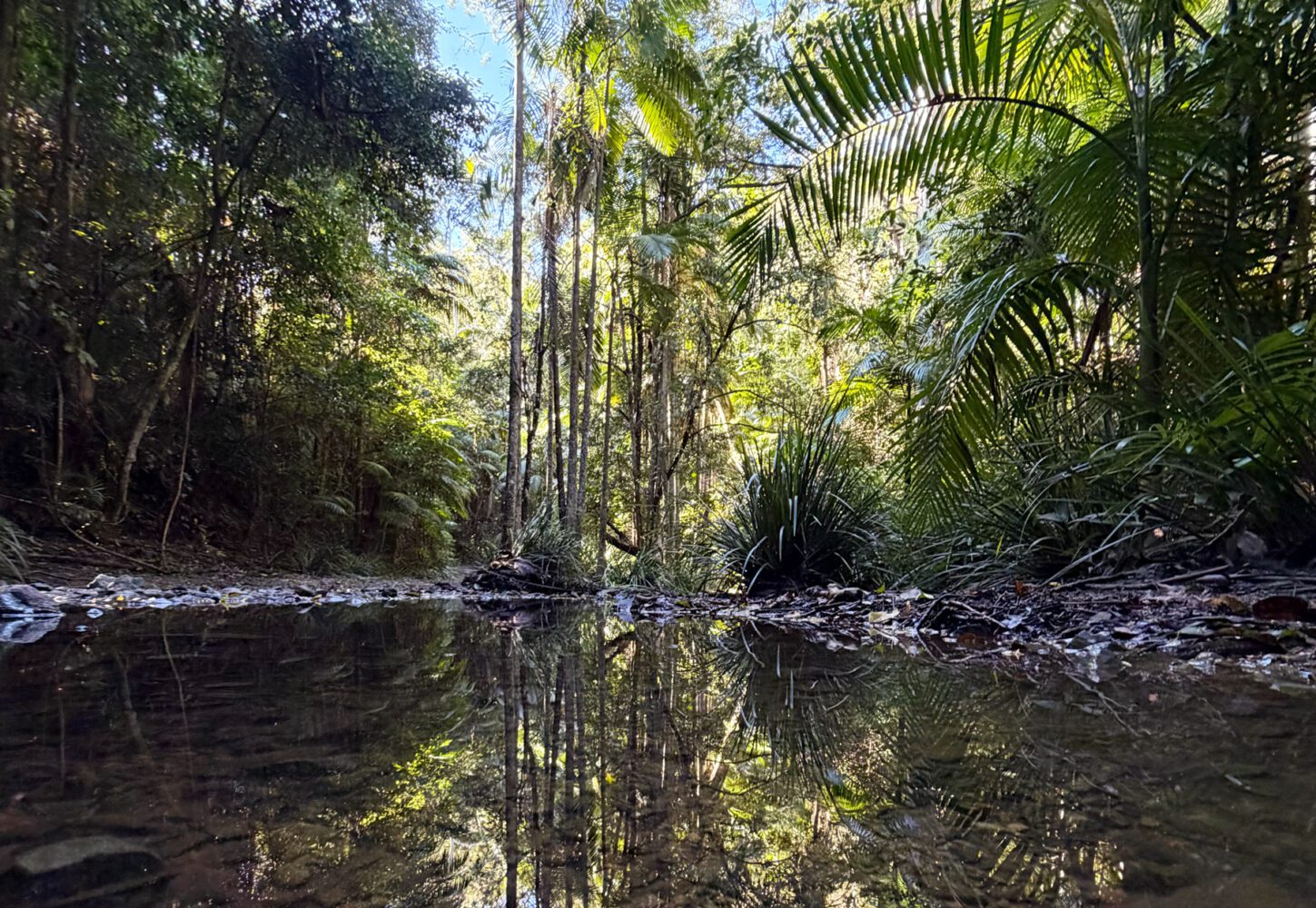 Woolgoolga Creek on Woolgoolga Falls walk