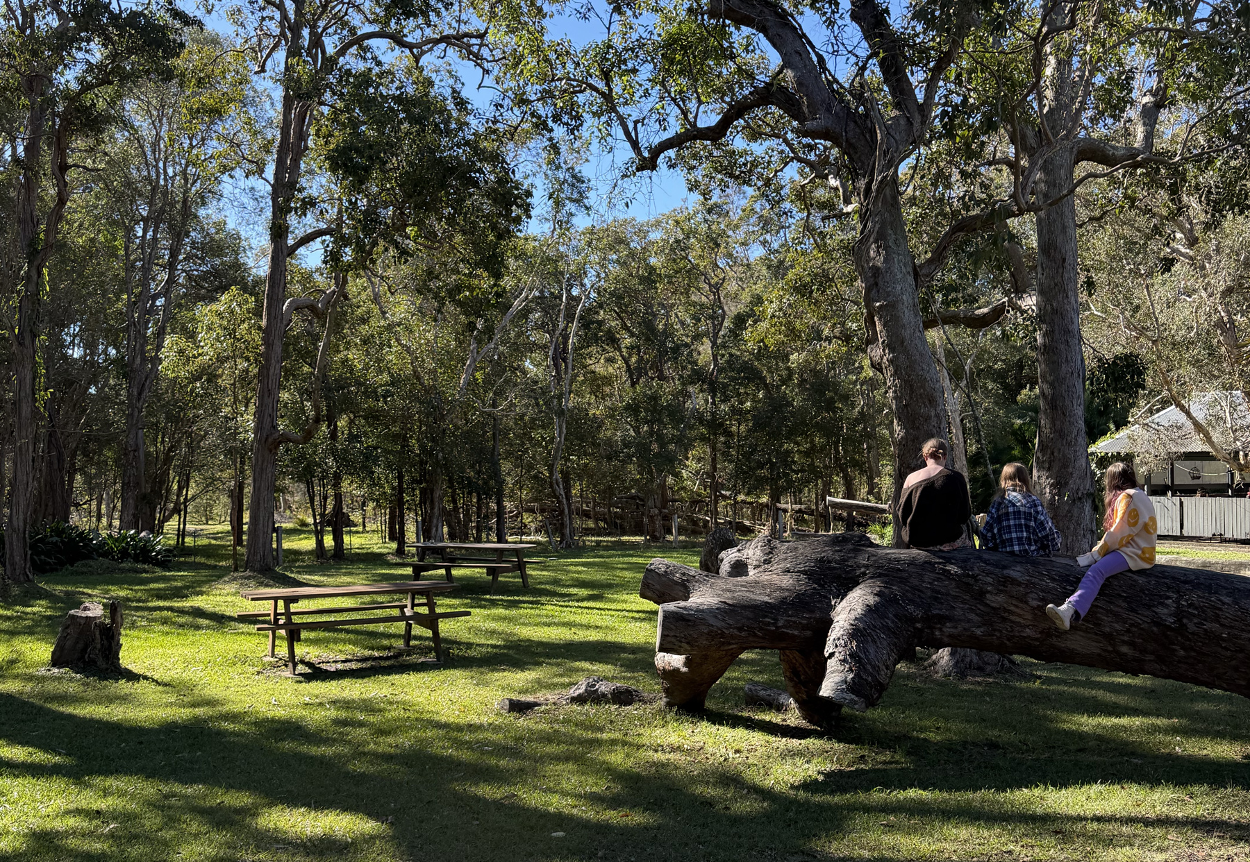 Picnic at Yarrawarra Aboriginal Cultural Centre